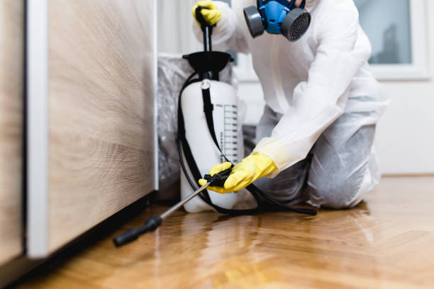 Best Pest Control for Restaurants  in Chicopee, MA