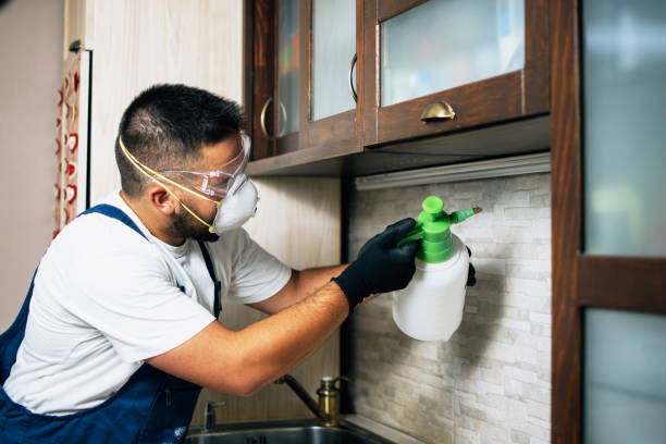 Best Best Pest Control Companies  in Chicopee, MA