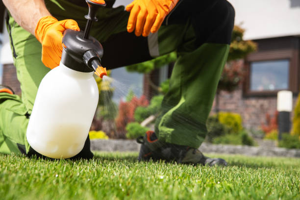 Best Pest Inspection Near Me  in Chicopee, MA