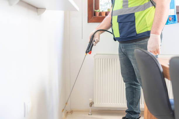 Best Affordable Pest Control Services  in Chicopee, MA