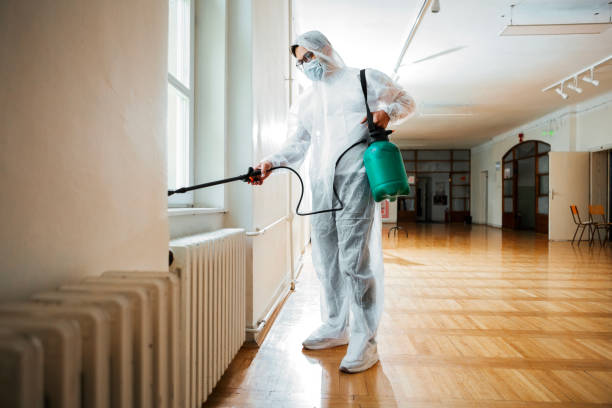 Best Commercial Pest Control Services  in Chicopee, MA